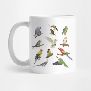 Various Colorful Parrots Mug